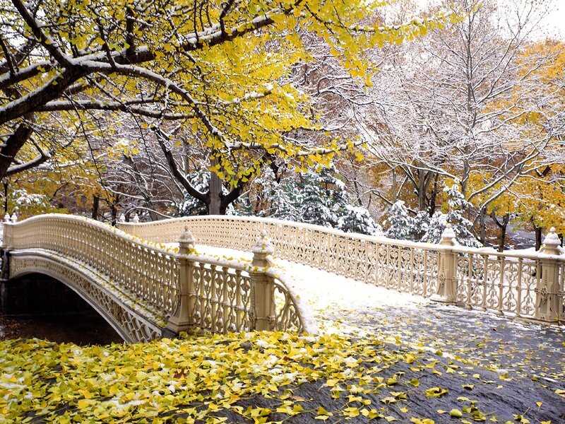 Snowy bridge in autumn park