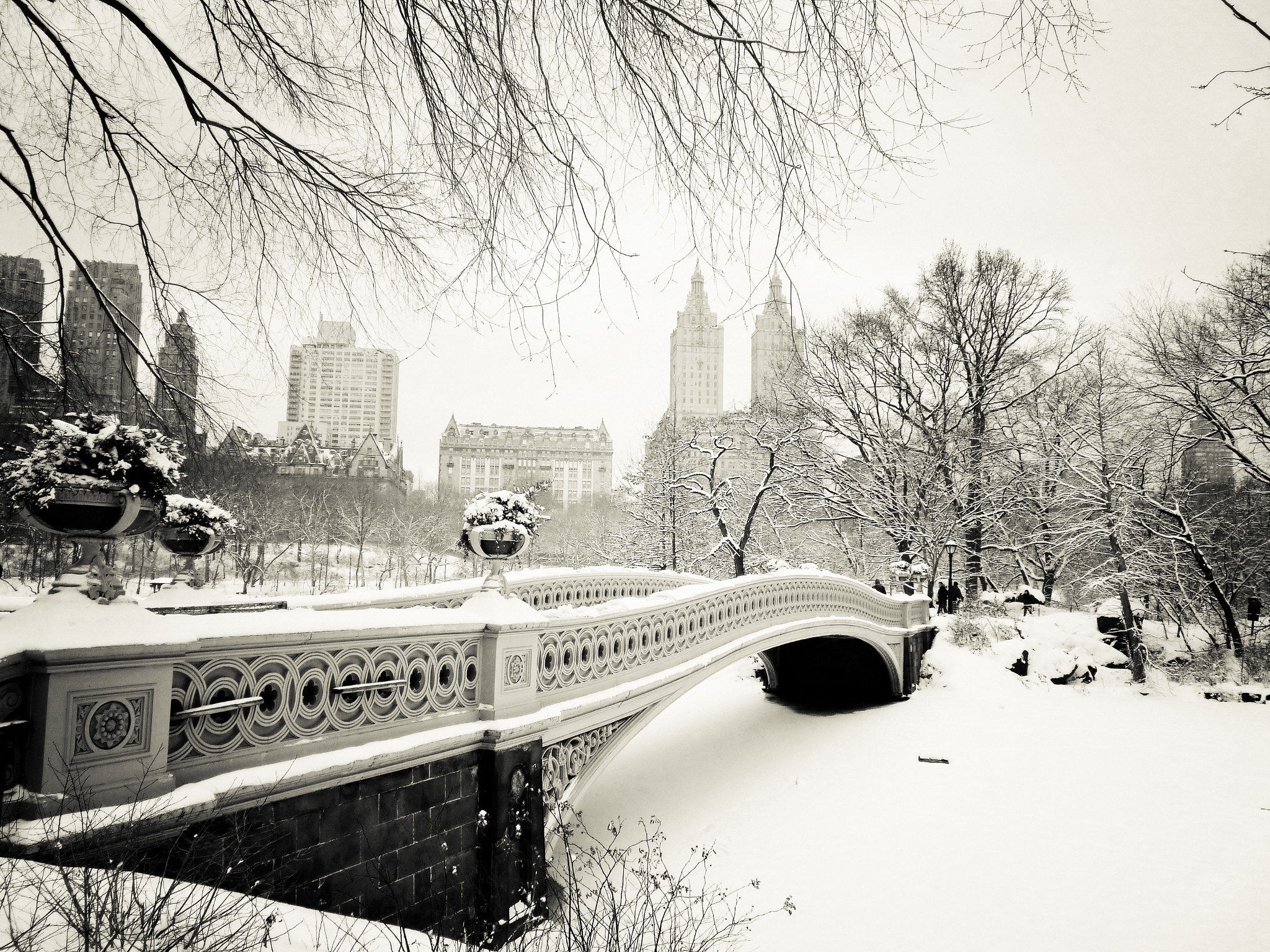Snowy bridge in Central Park