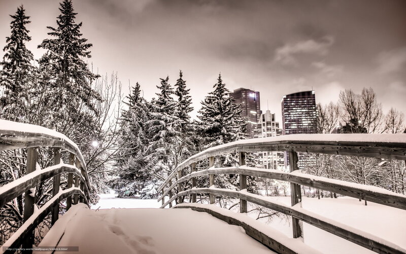 Snowy bridge in city park