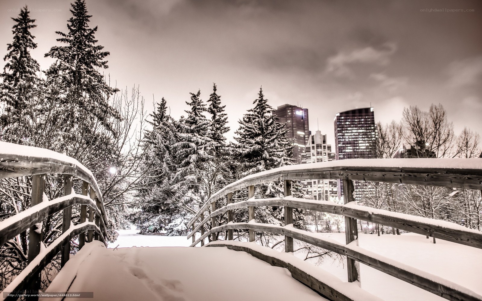 Snowy bridge in city park
