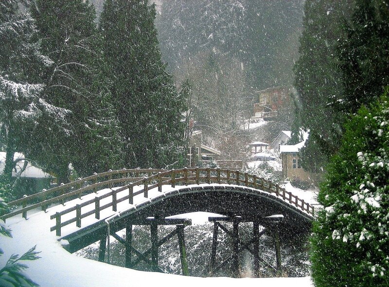 Snowy bridge in forest