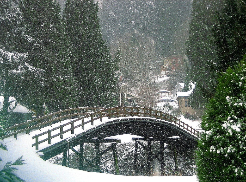 Snowy bridge in forest