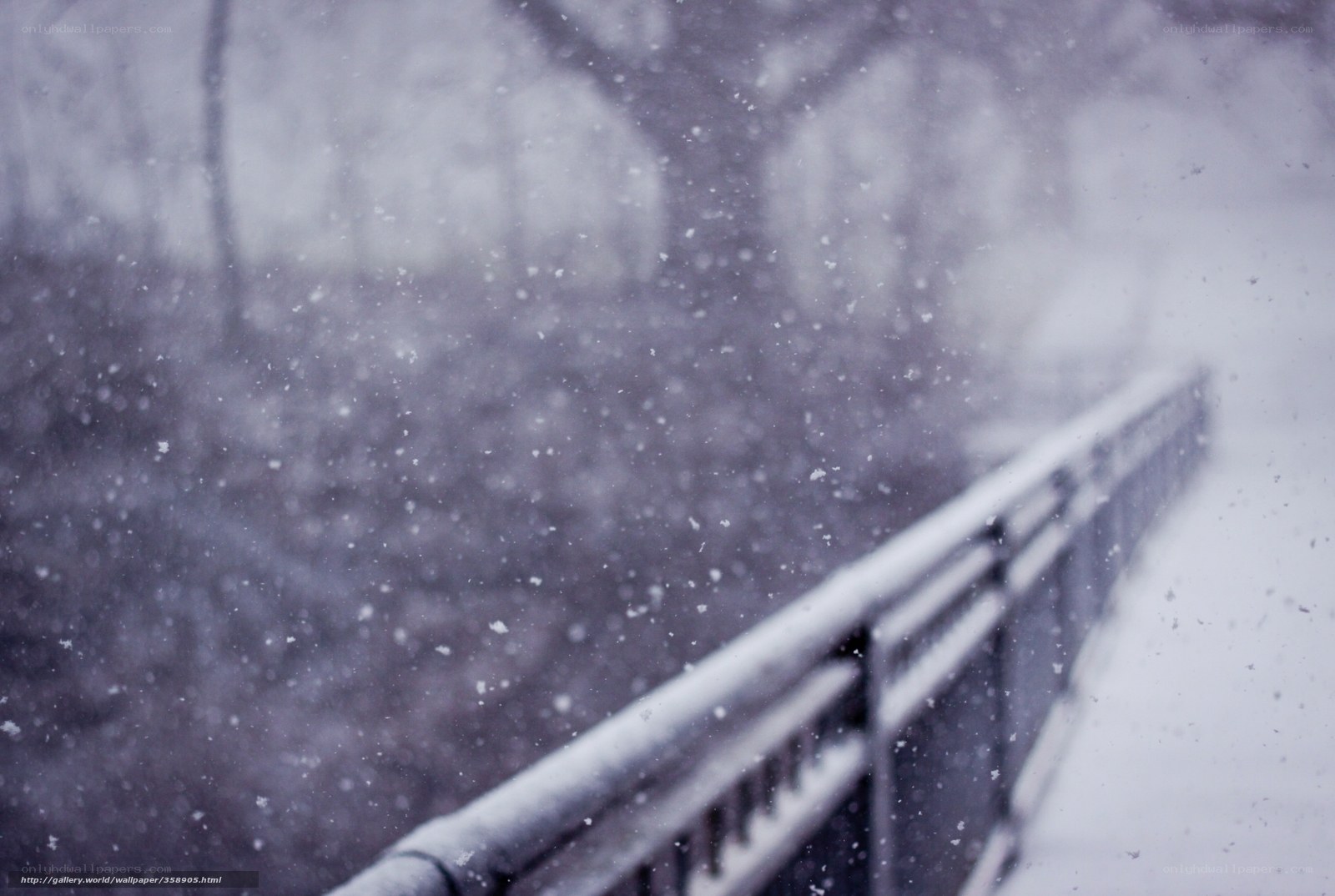 Snowy bridge in winter