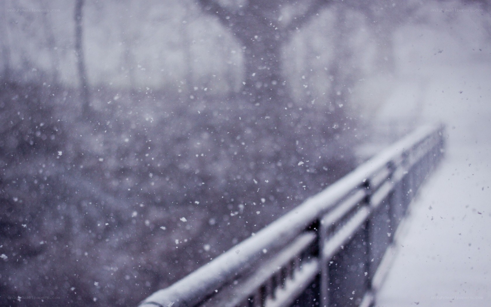 Snowy bridge in winter