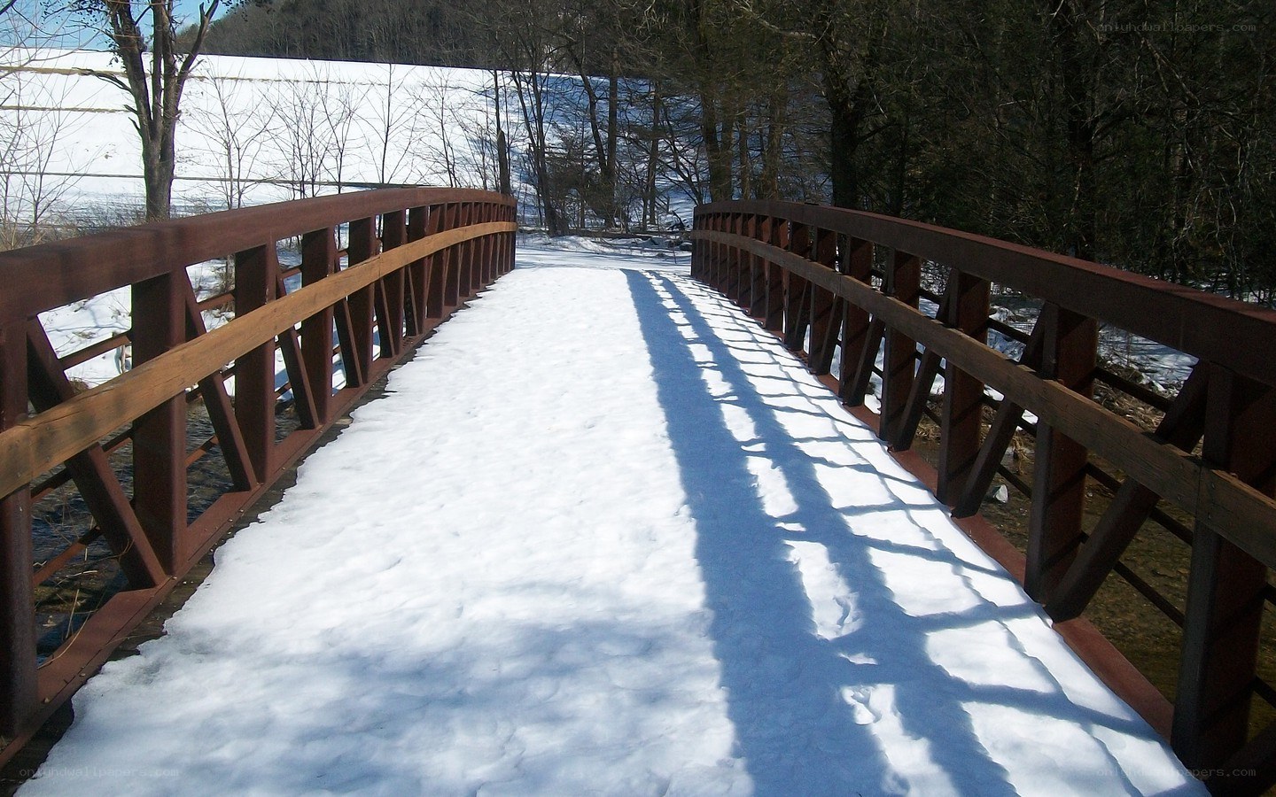 Snowy bridge in winter