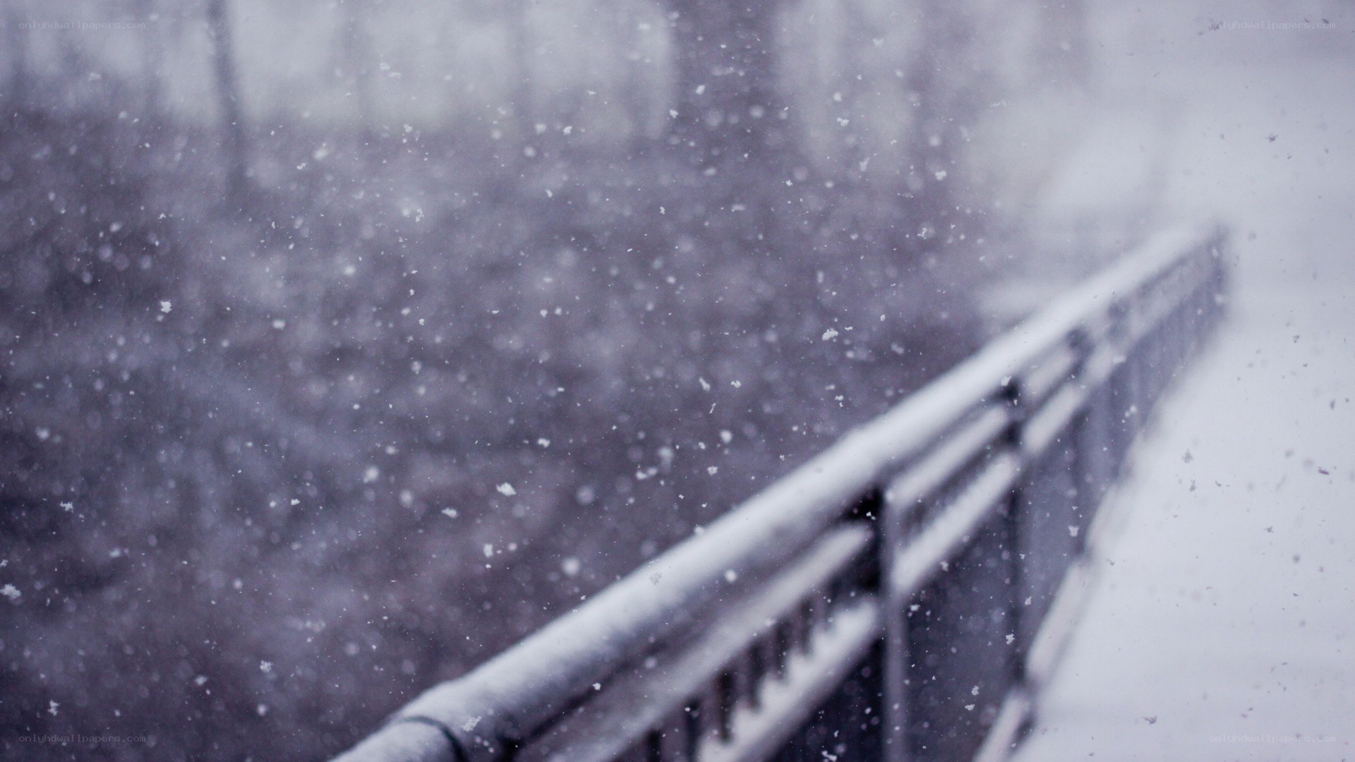 snowy bridge in winter