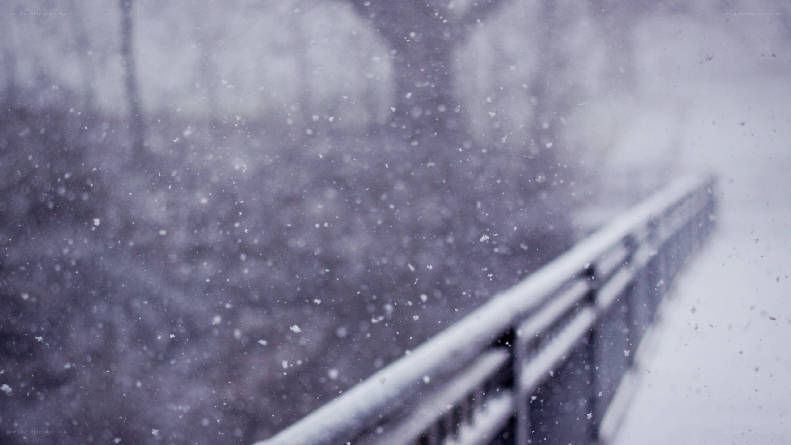 snowy bridge in winter