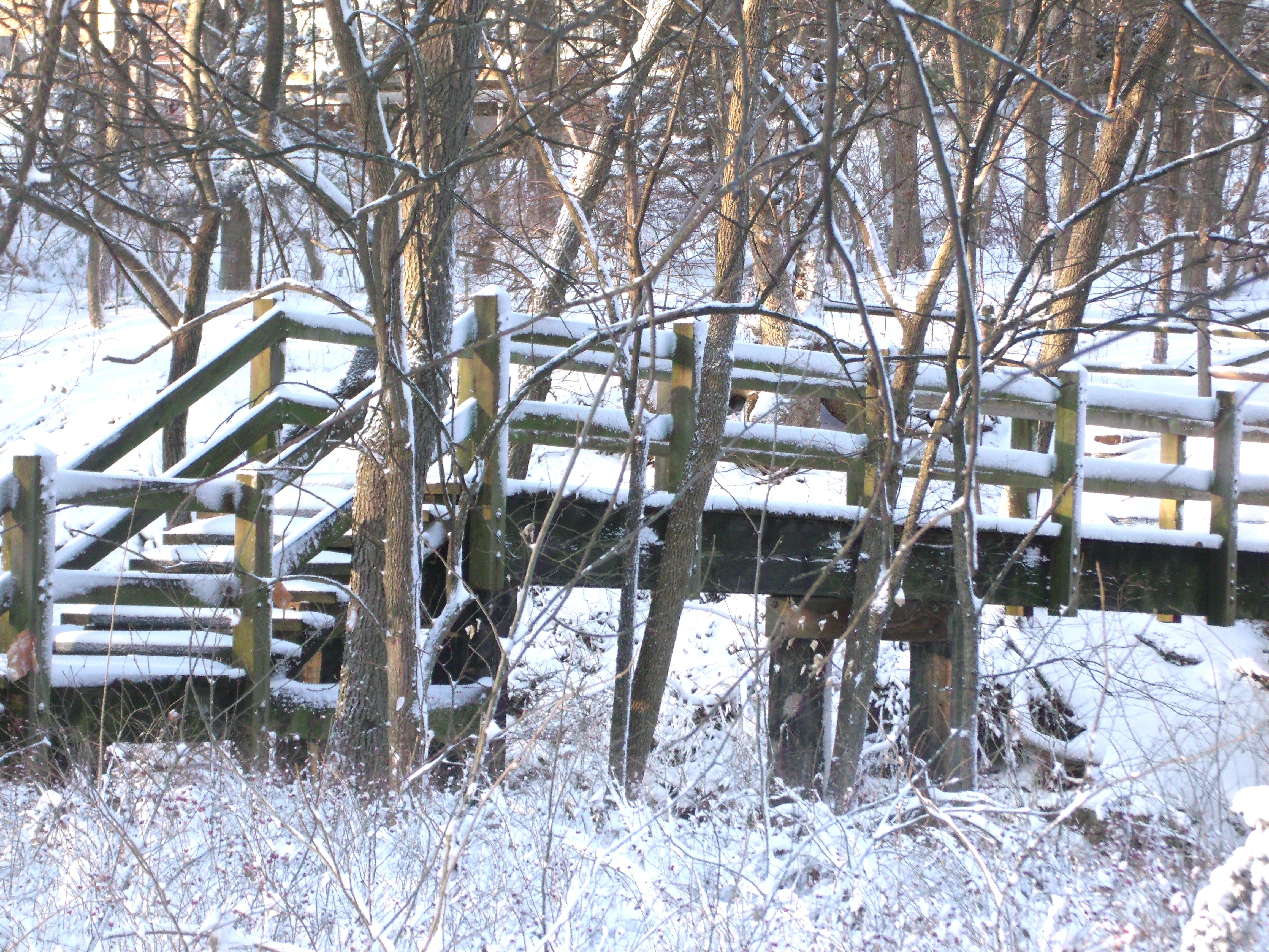 Snowy bridge in winter forest