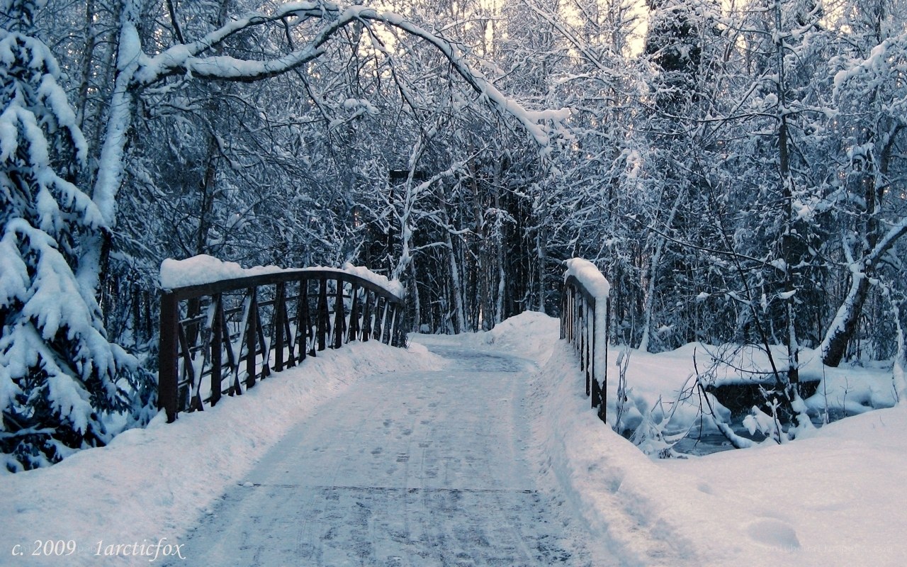 Snowy bridge in winter forest
