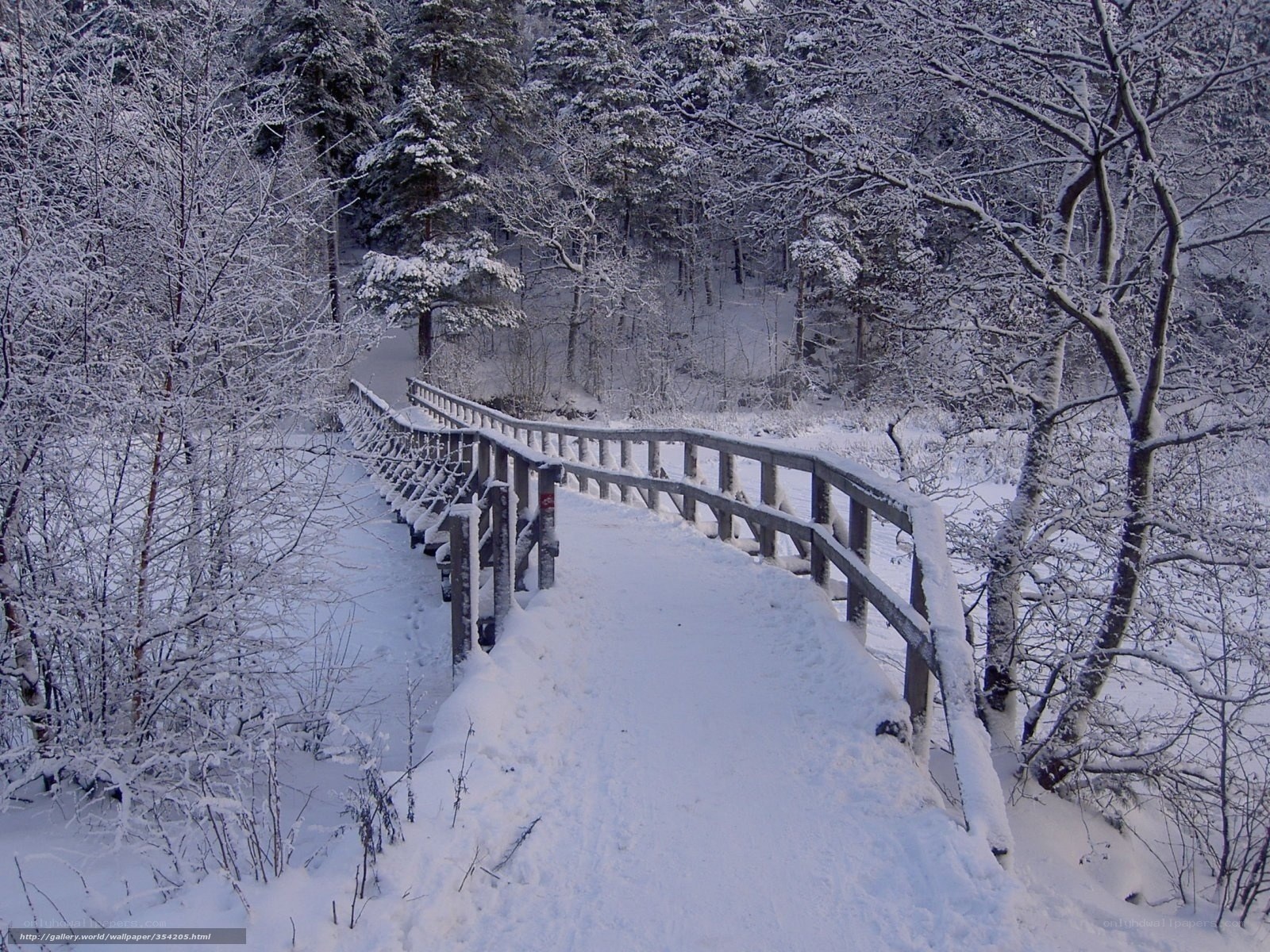 Snowy bridge in winter forest