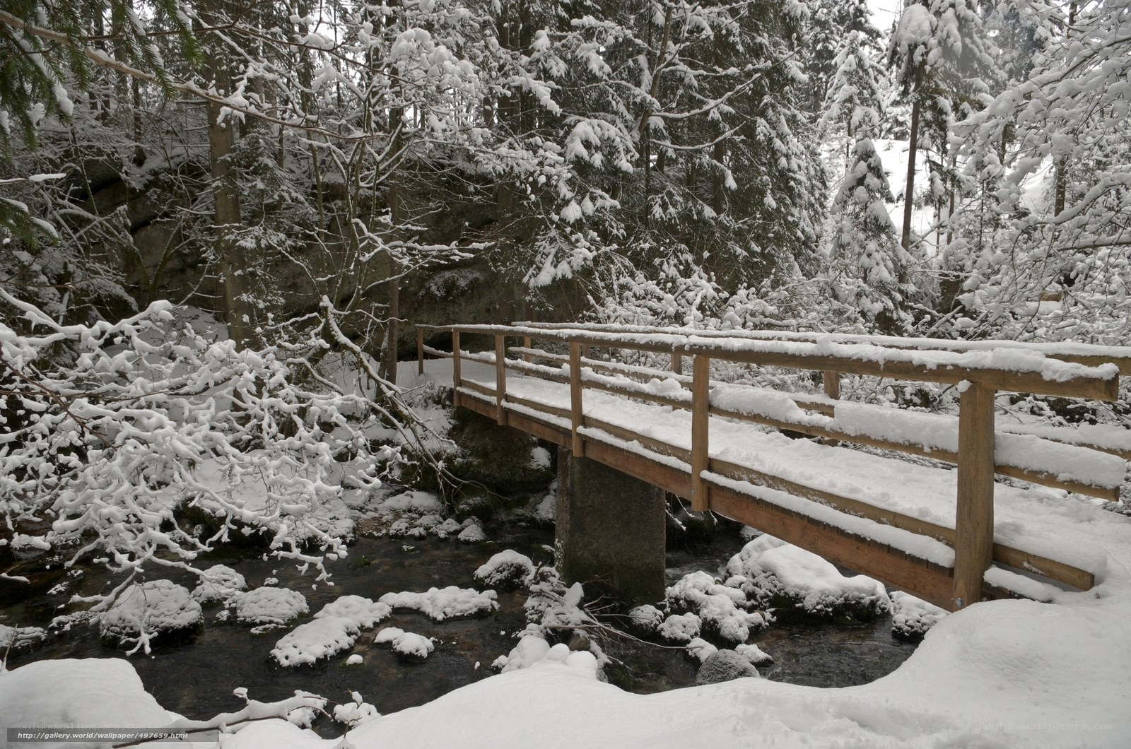 Snowy bridge in winter forest