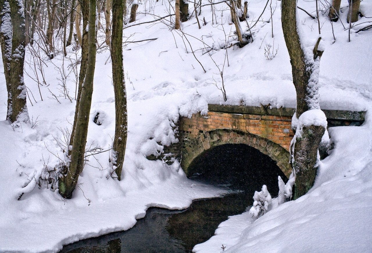 Snowy bridge in winter forest