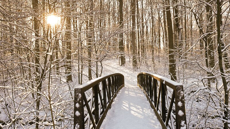 Snowy bridge in winter forest