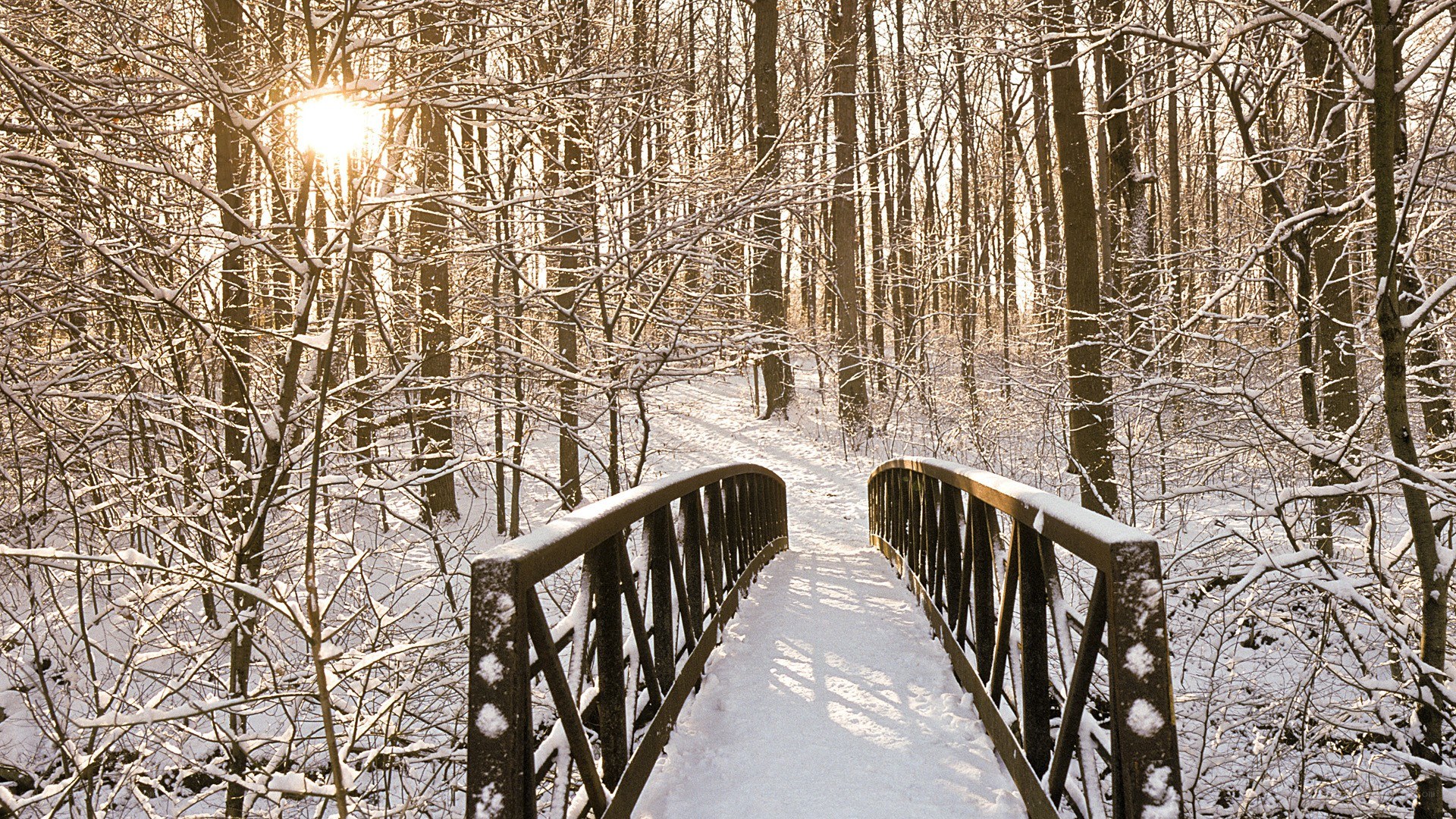 Snowy bridge in winter forest