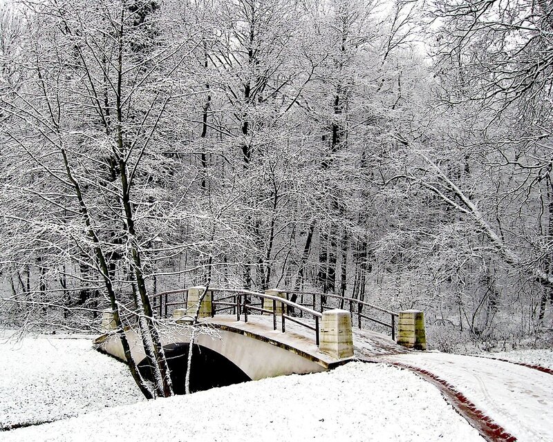 Snowy bridge in winter forest