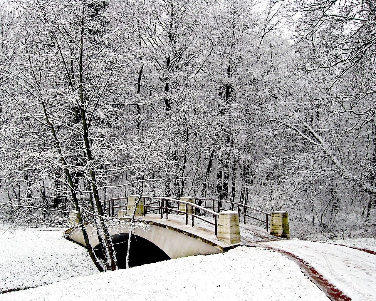 Snowy bridge in winter forest
