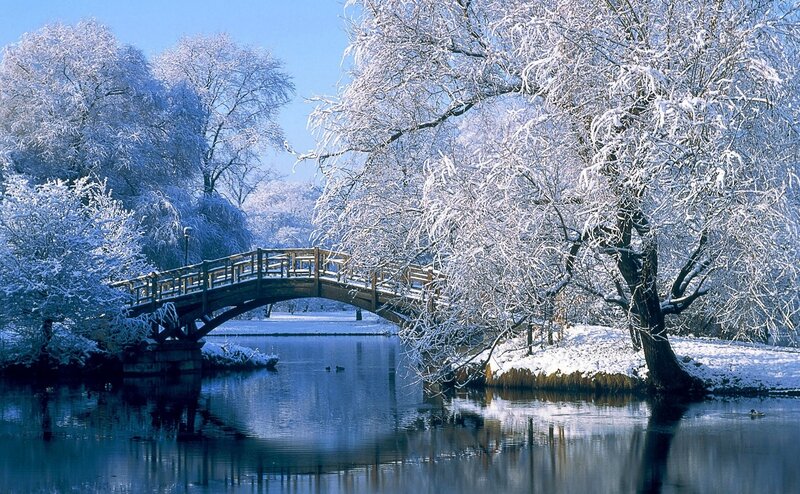 Snowy bridge in winter park