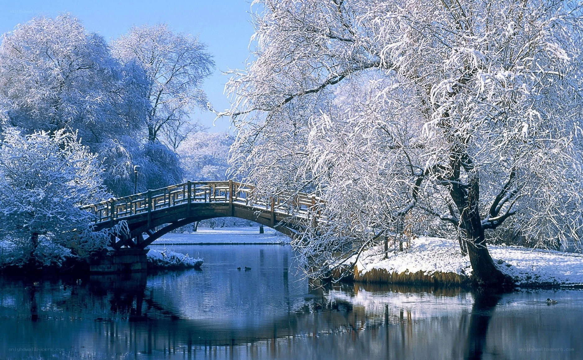 Snowy bridge in winter park