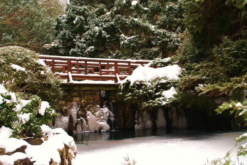 Snowy bridge over a frozen stream