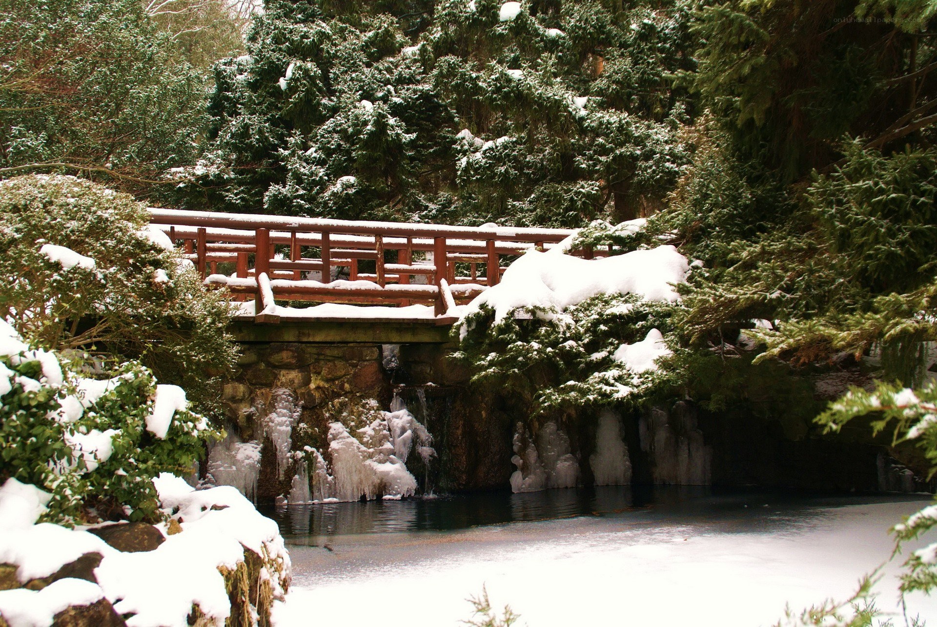 Snowy bridge over a frozen stream