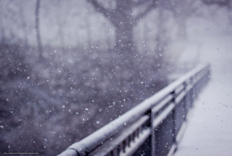 Snowy Bridge Railing
