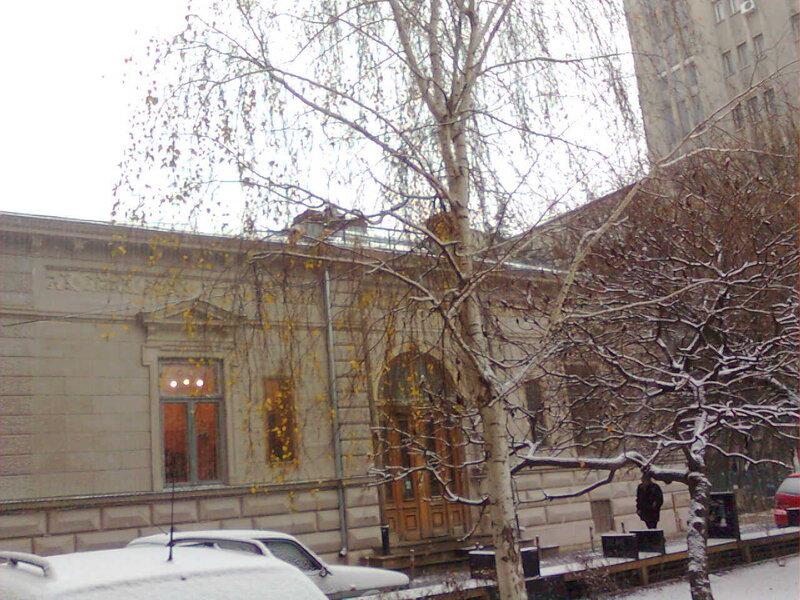snowy building with bare trees