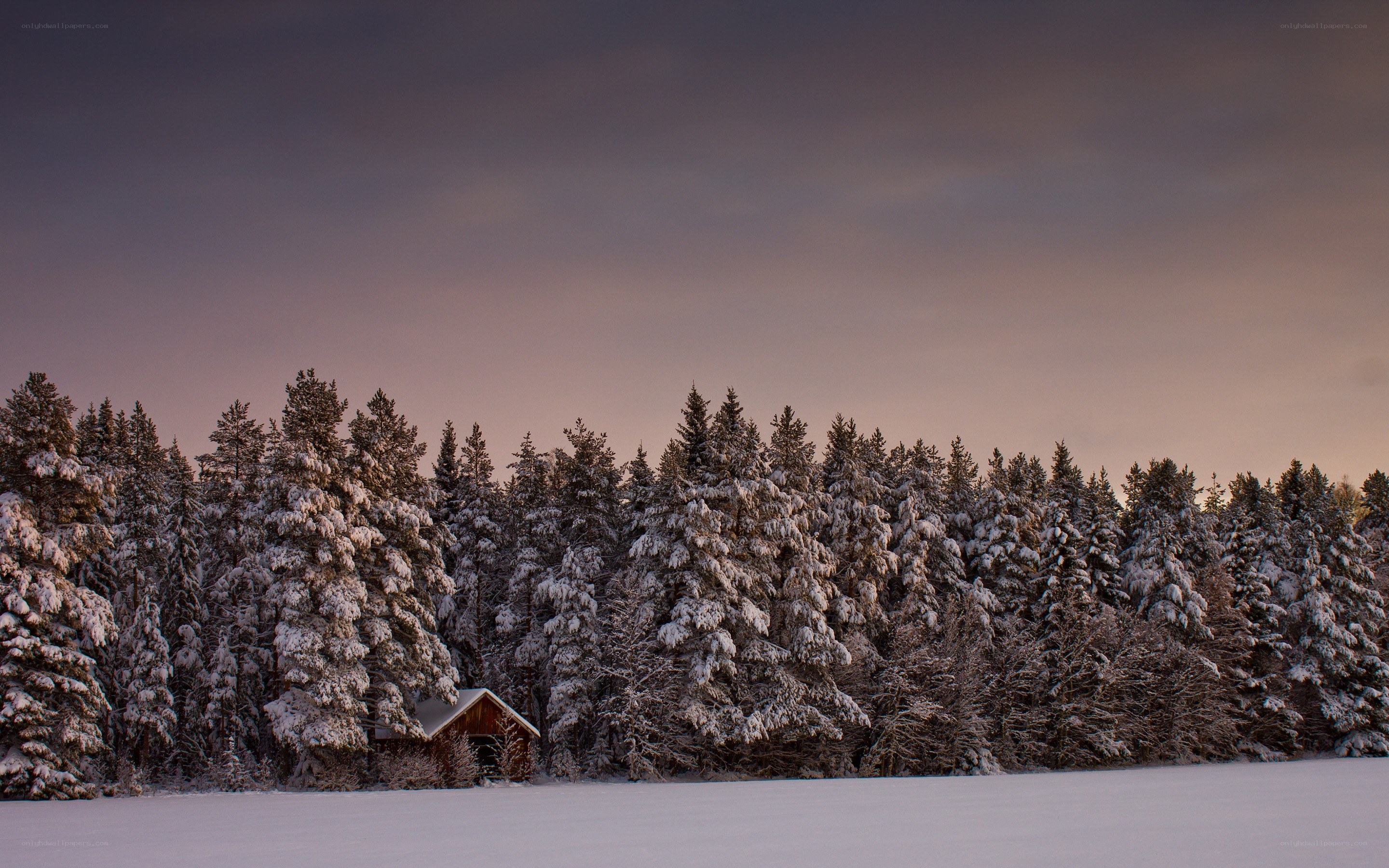 Snowy cabin at dusk