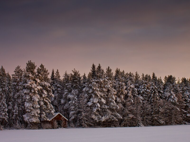 Snowy cabin at dusk