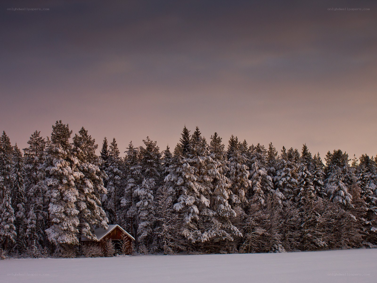 Snowy cabin at dusk