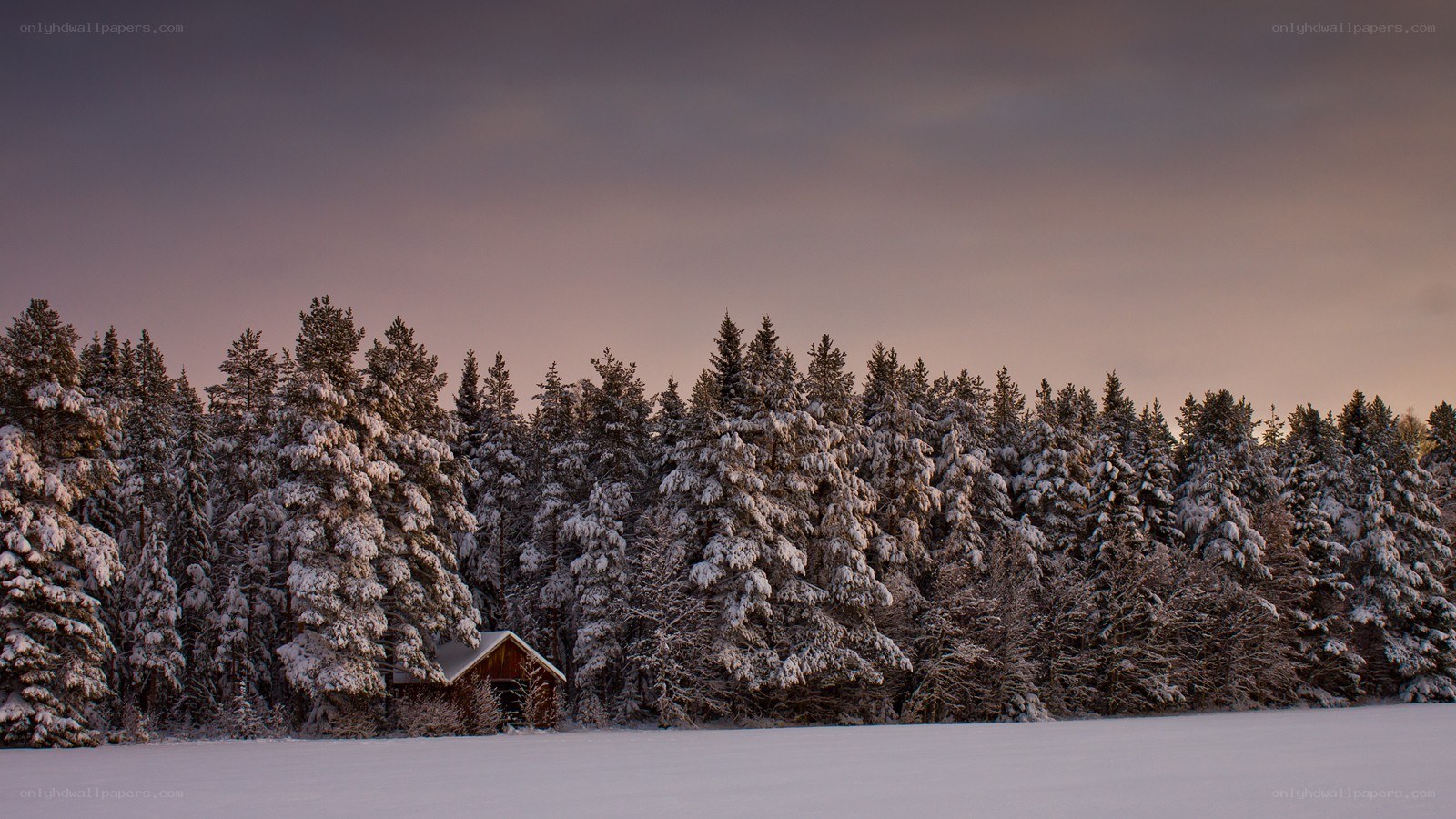 Snowy cabin at dusk