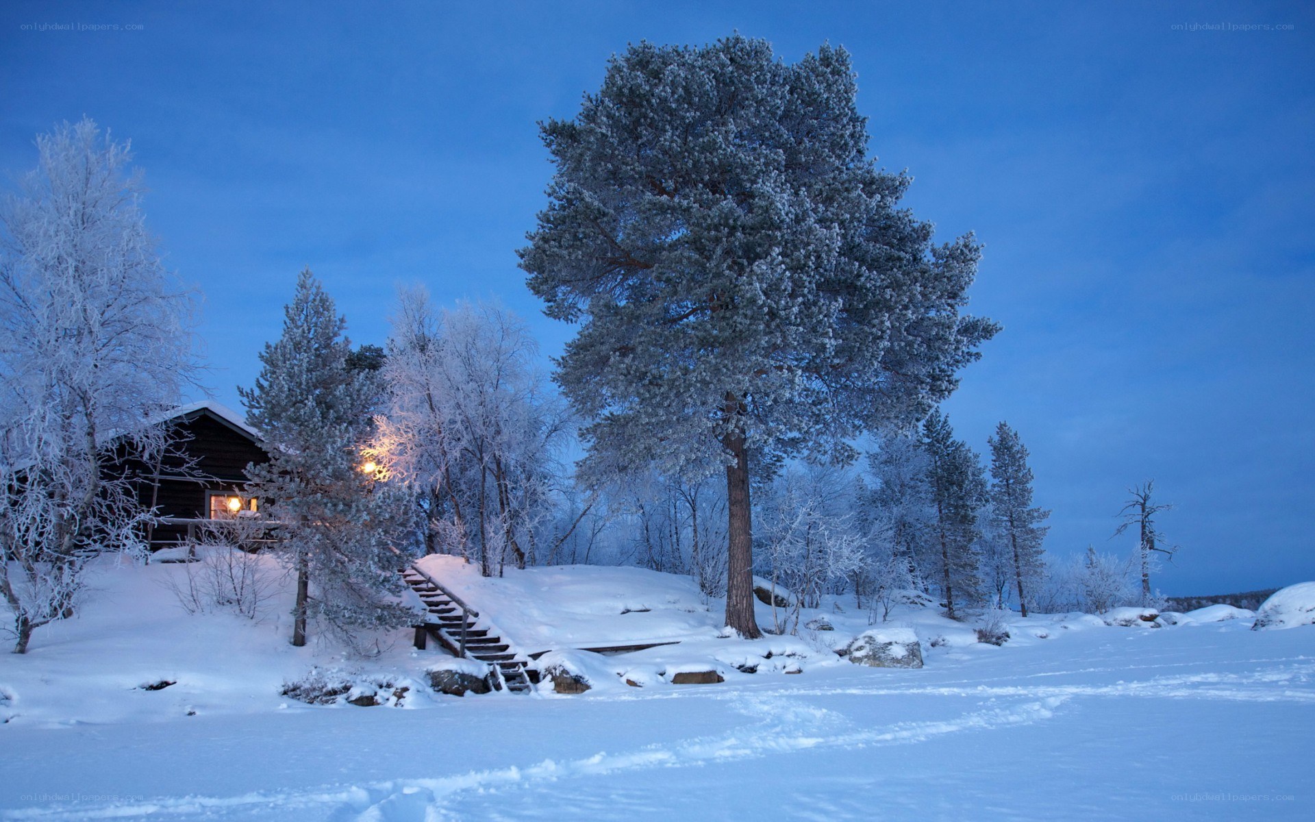 Snowy cabin at dusk