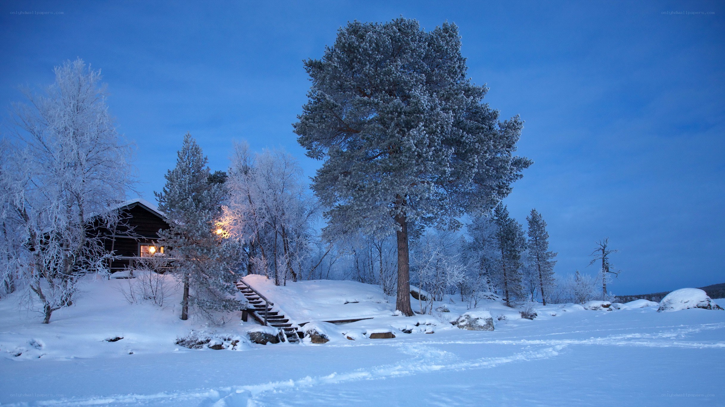 Snowy cabin at dusk