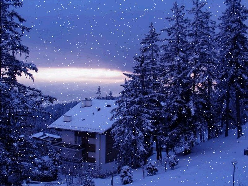 Snowy cabin at dusk