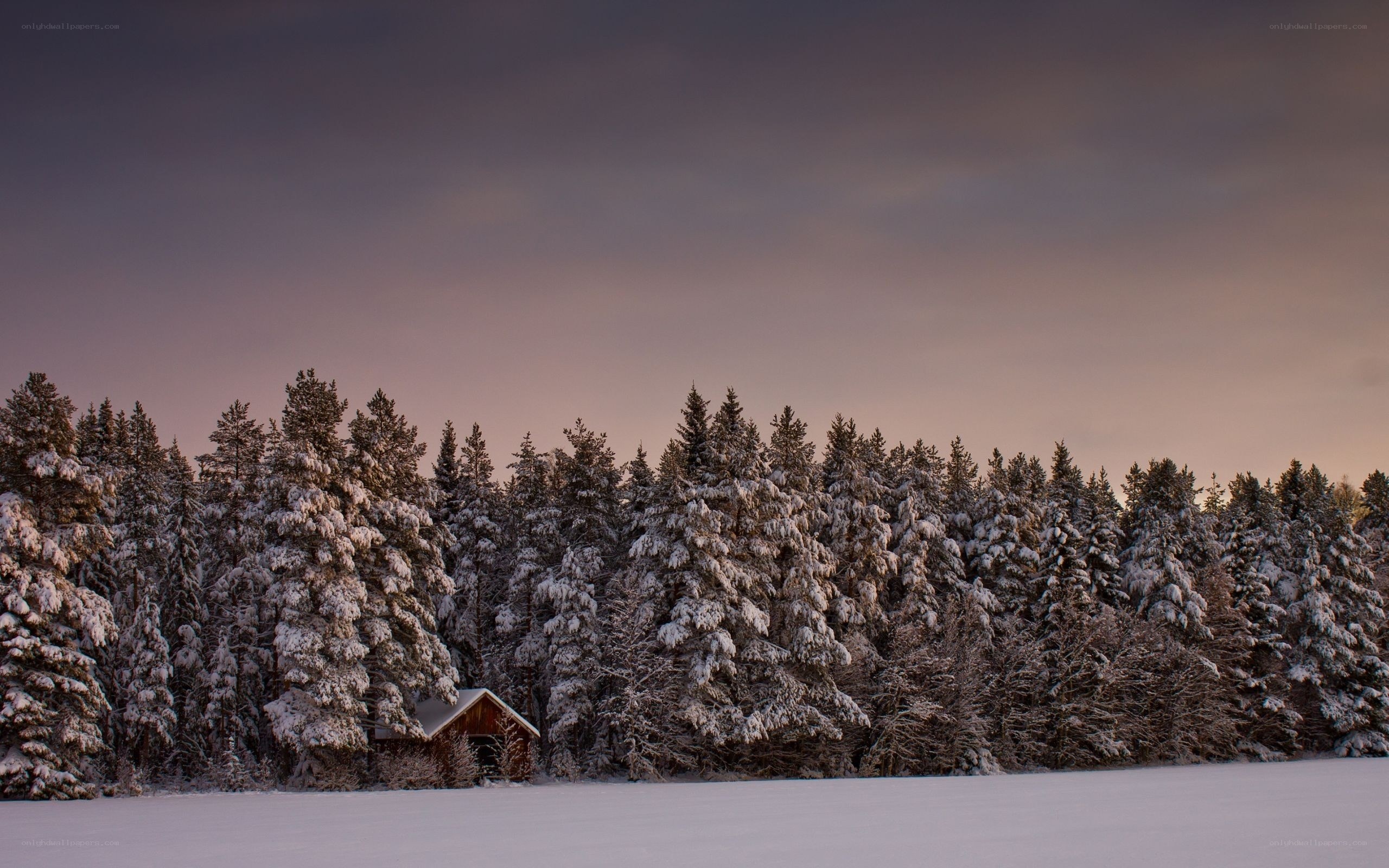 Snowy cabin at dusk