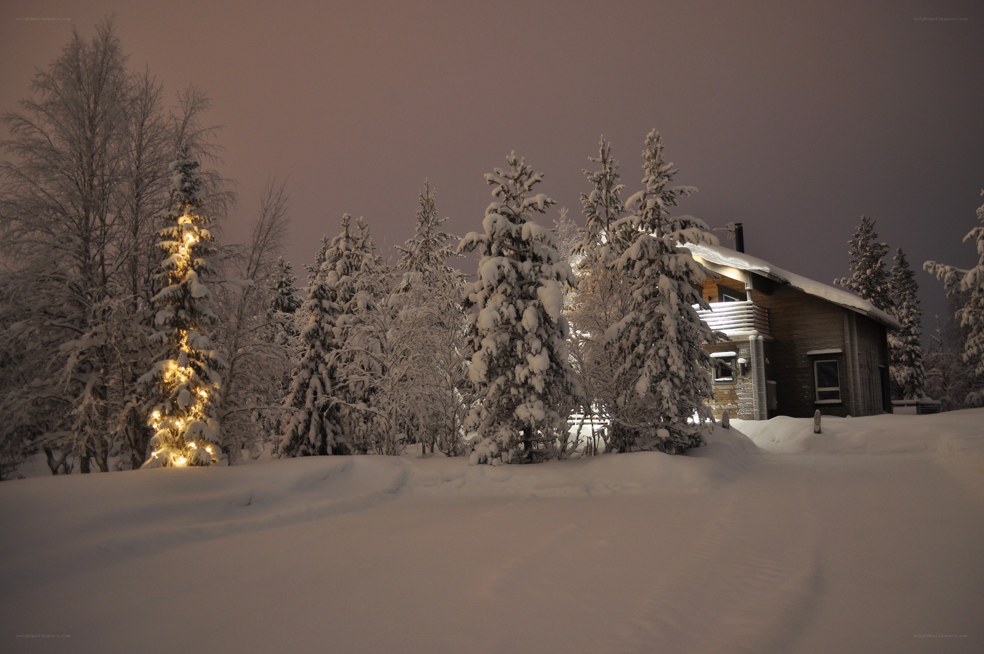 Snowy cabin at night