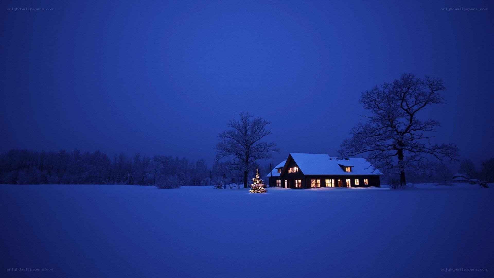 Snowy cabin at night
