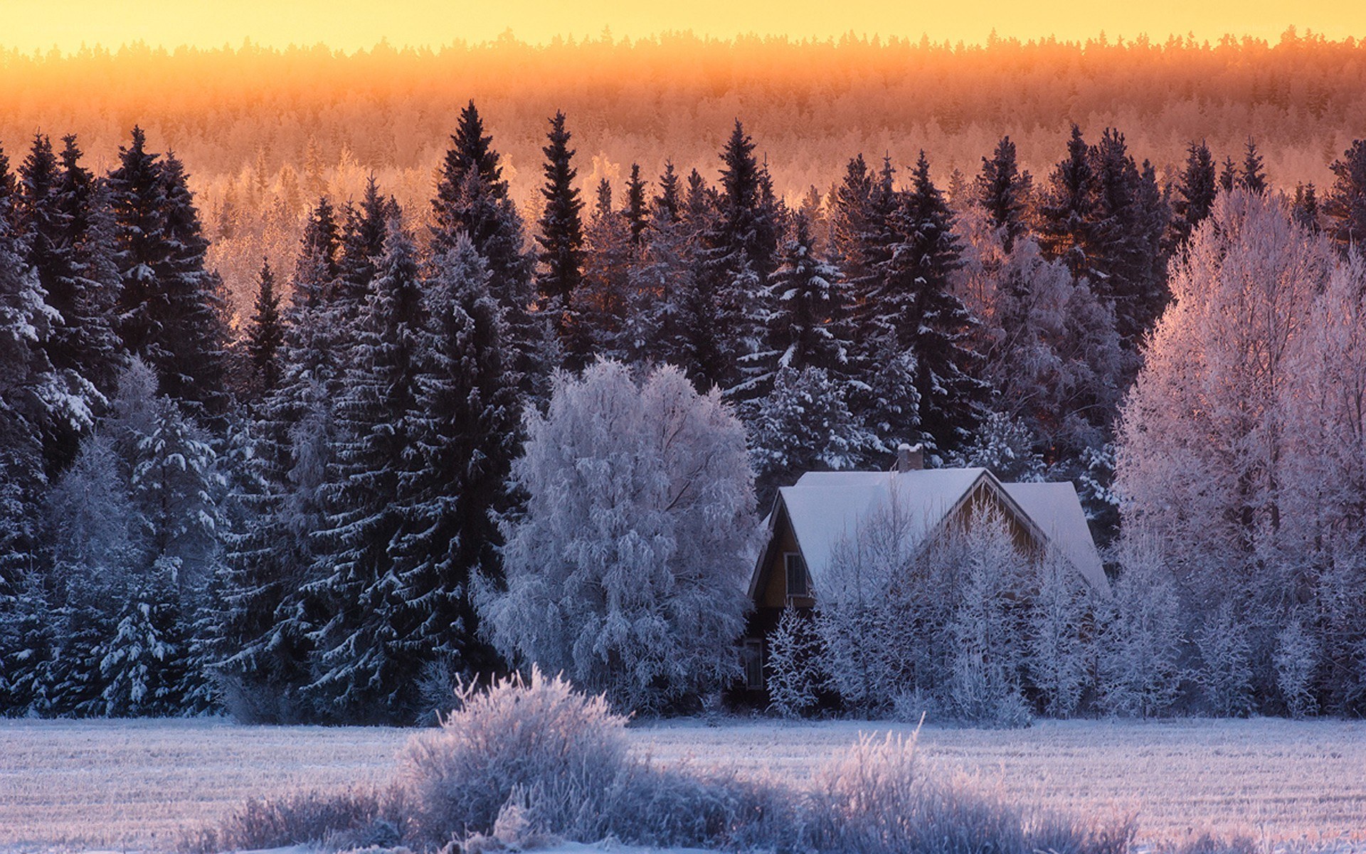Snowy cabin at sunrise