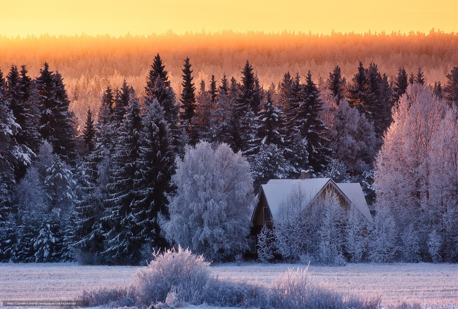 Snowy cabin at sunrise