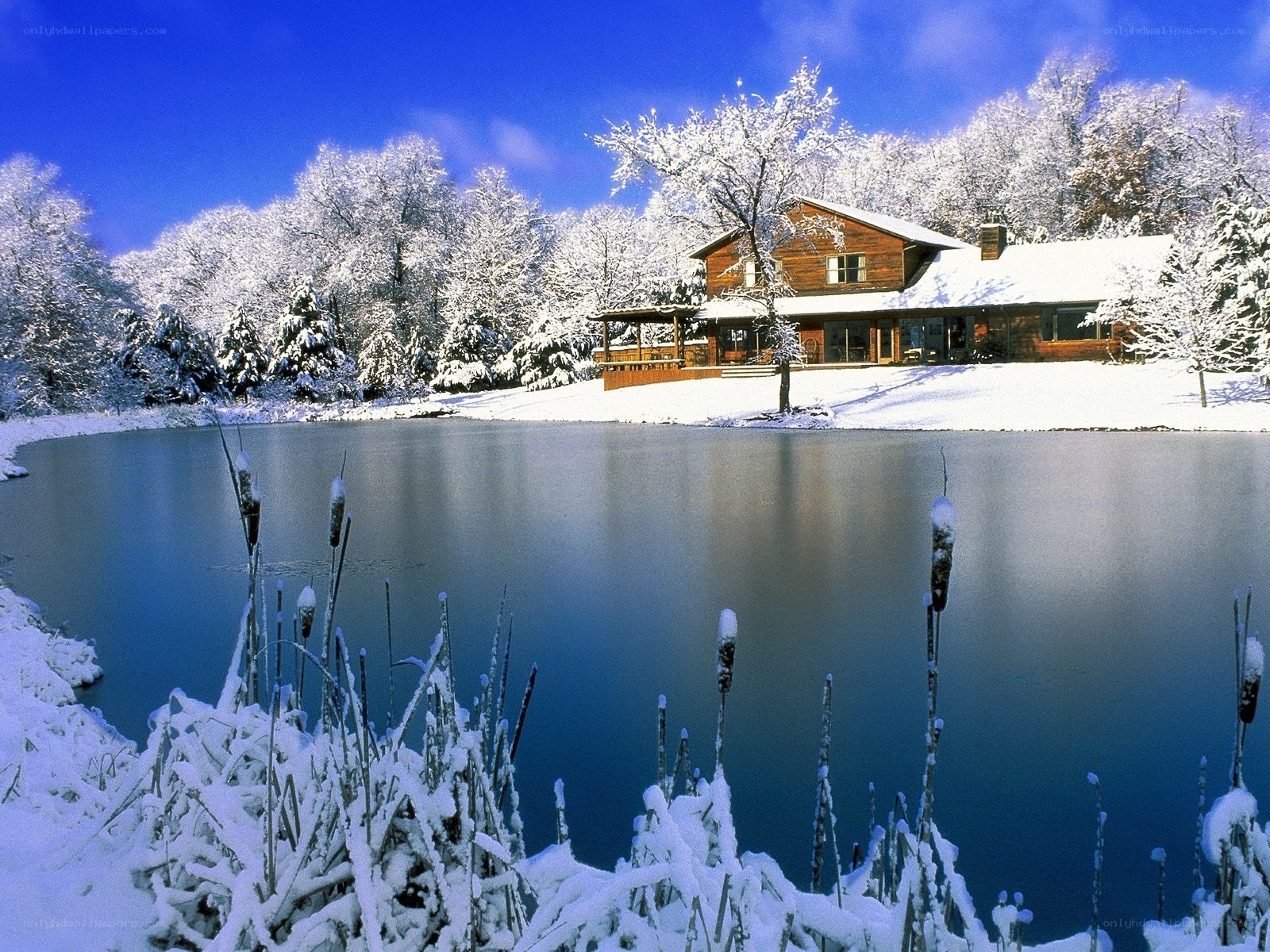 Snowy cabin by a lake