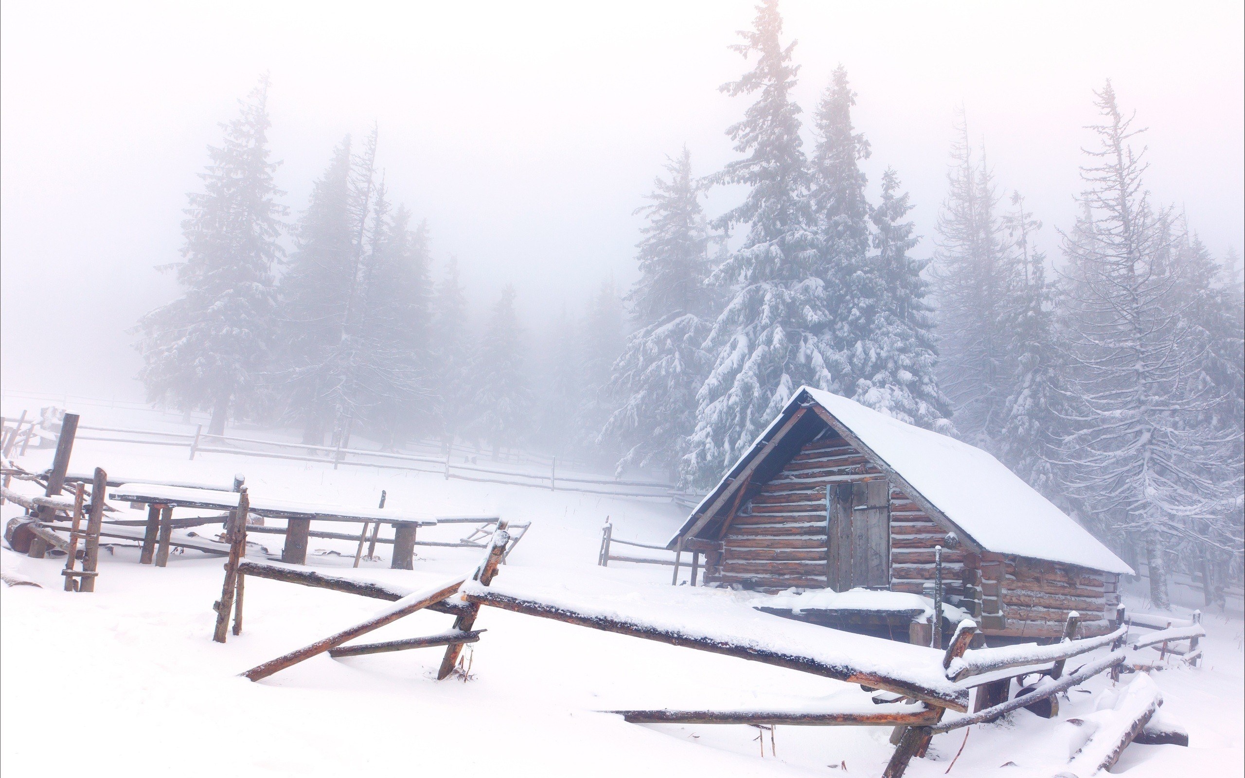 Snowy cabin in a forest