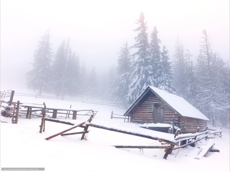 Snowy cabin in foggy forest