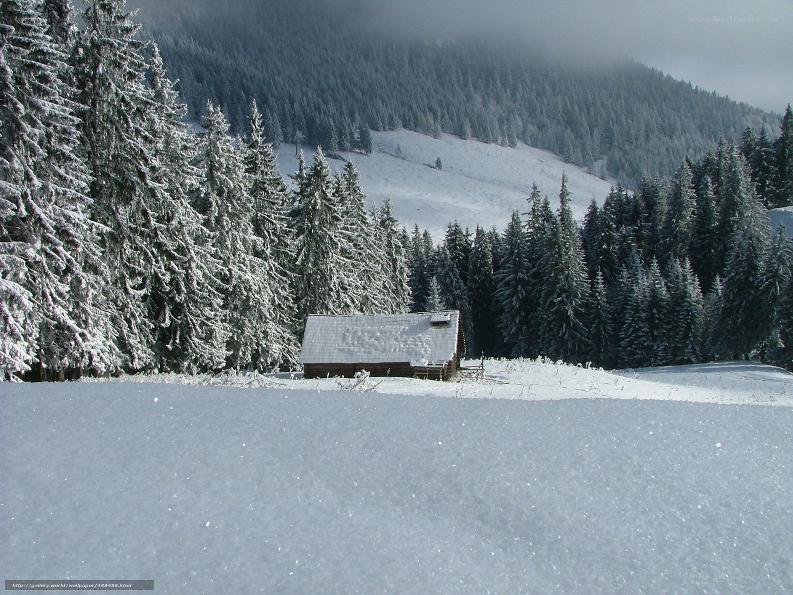 Snowy cabin in forest