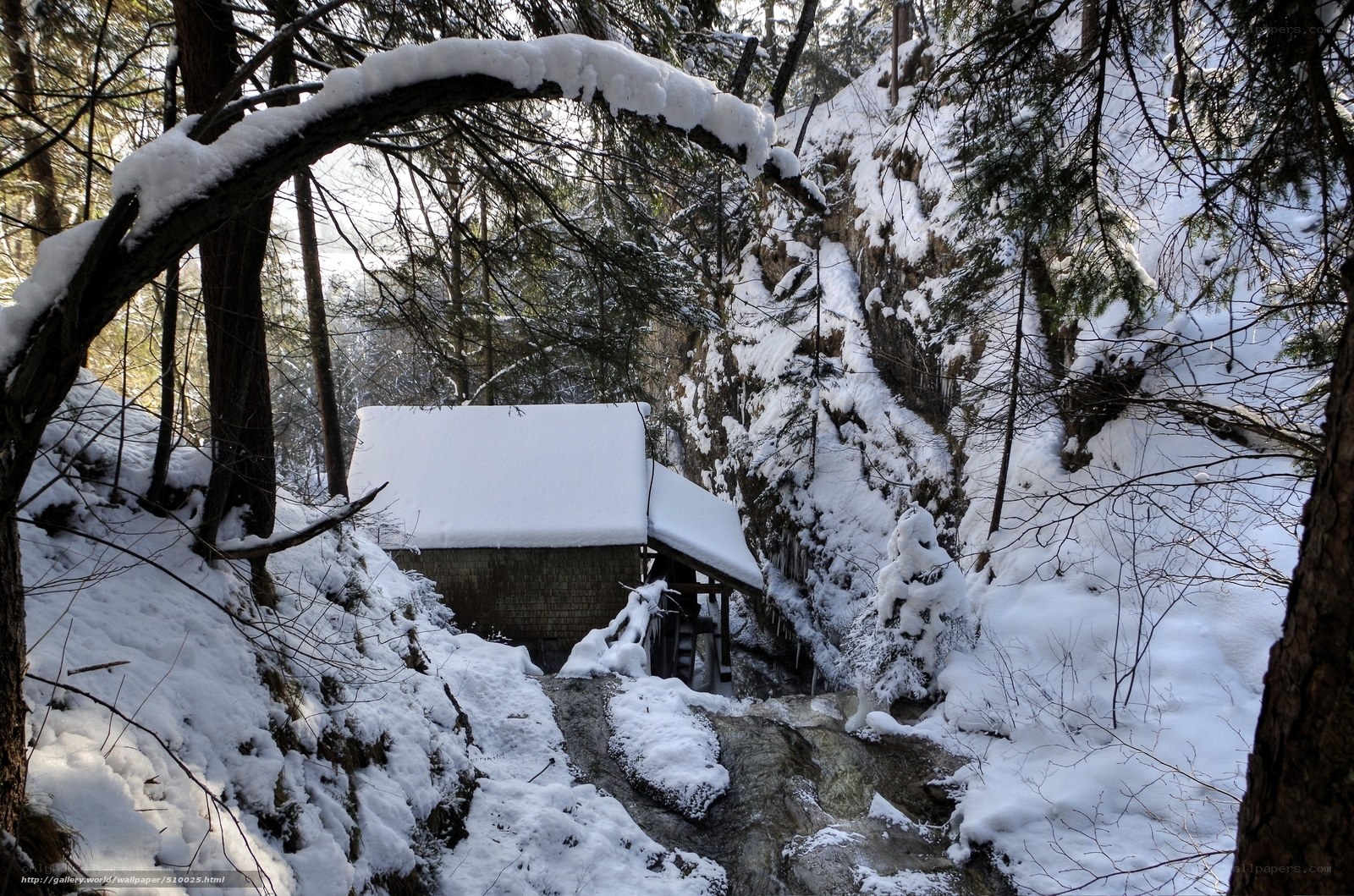 Snowy cabin in forest