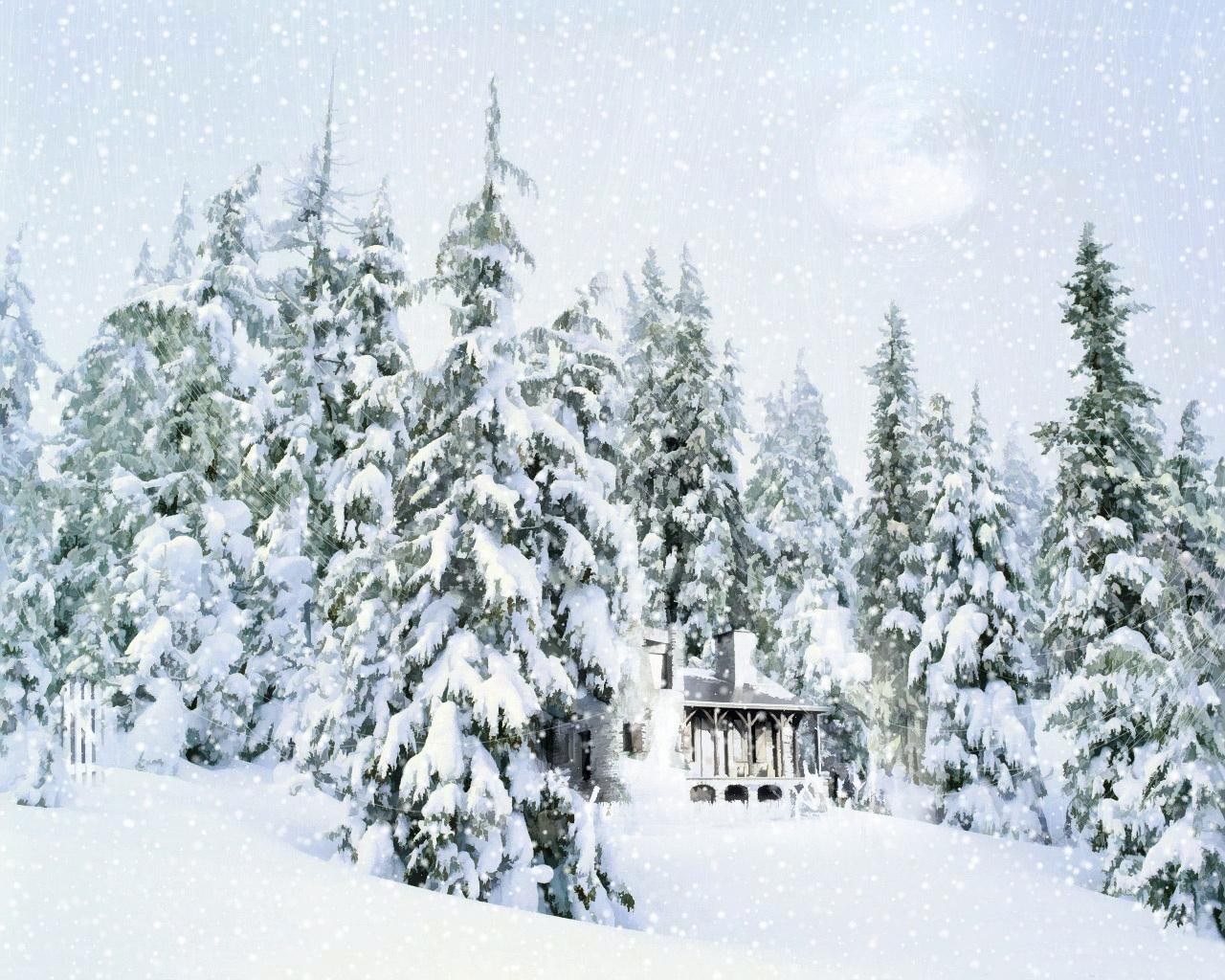 Snowy cabin in forest