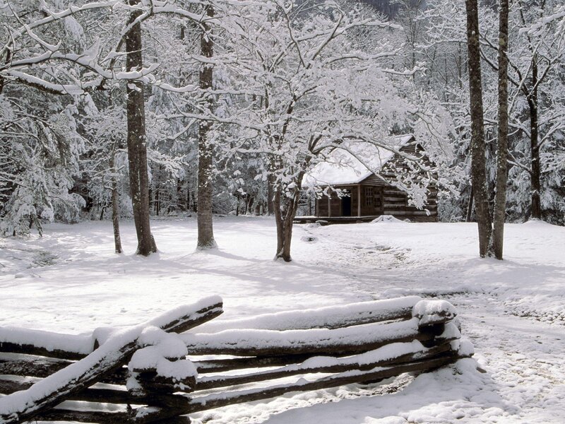 Snowy cabin in forest