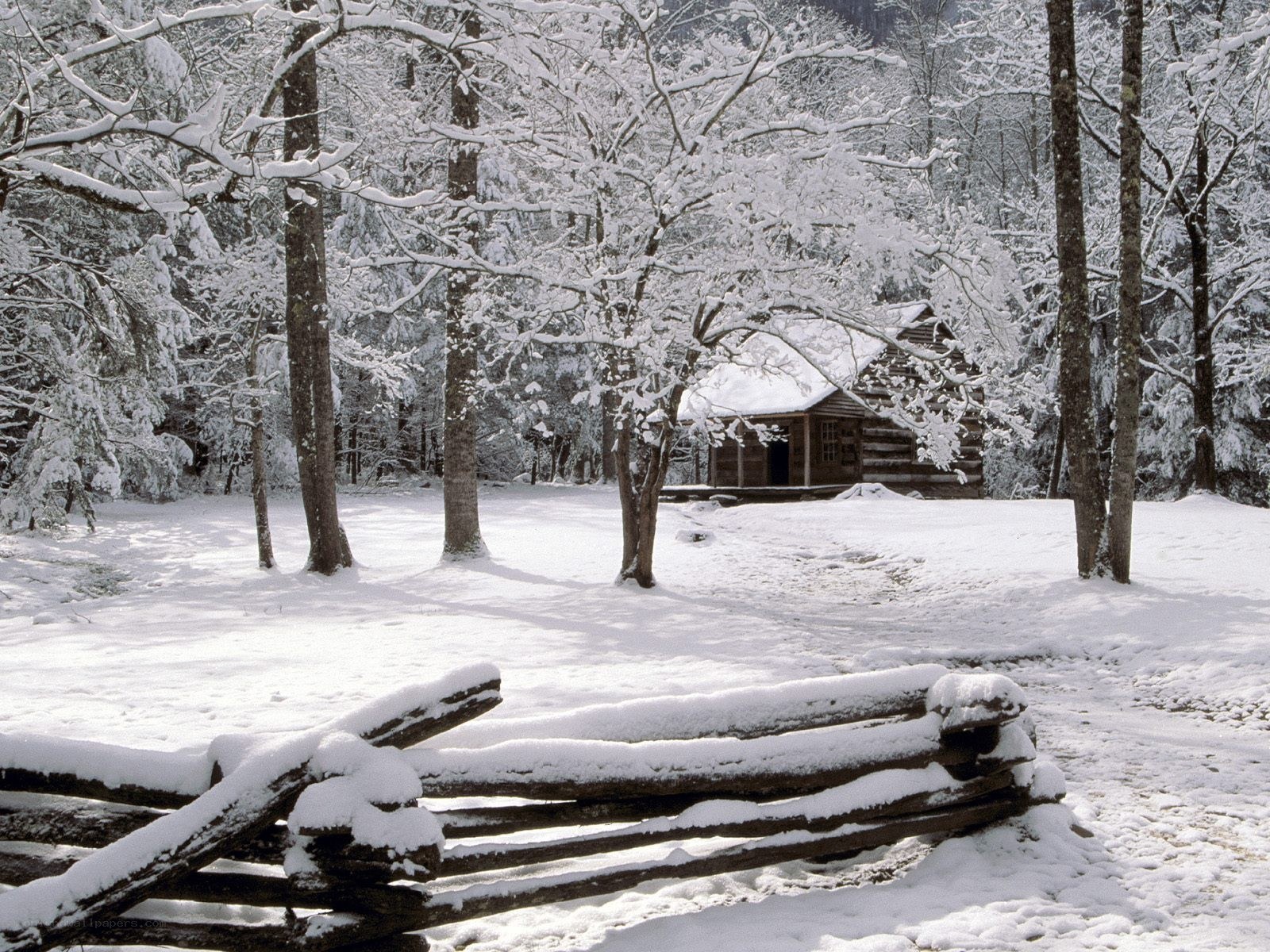 Snowy cabin in forest