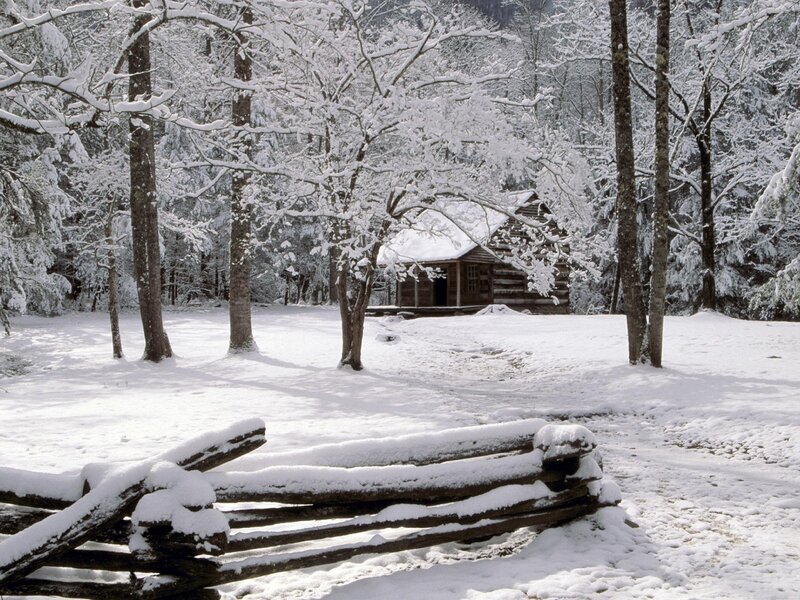 Snowy cabin in forest
