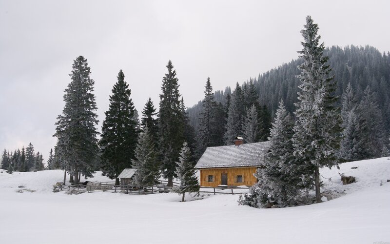 Snowy cabin in forest
