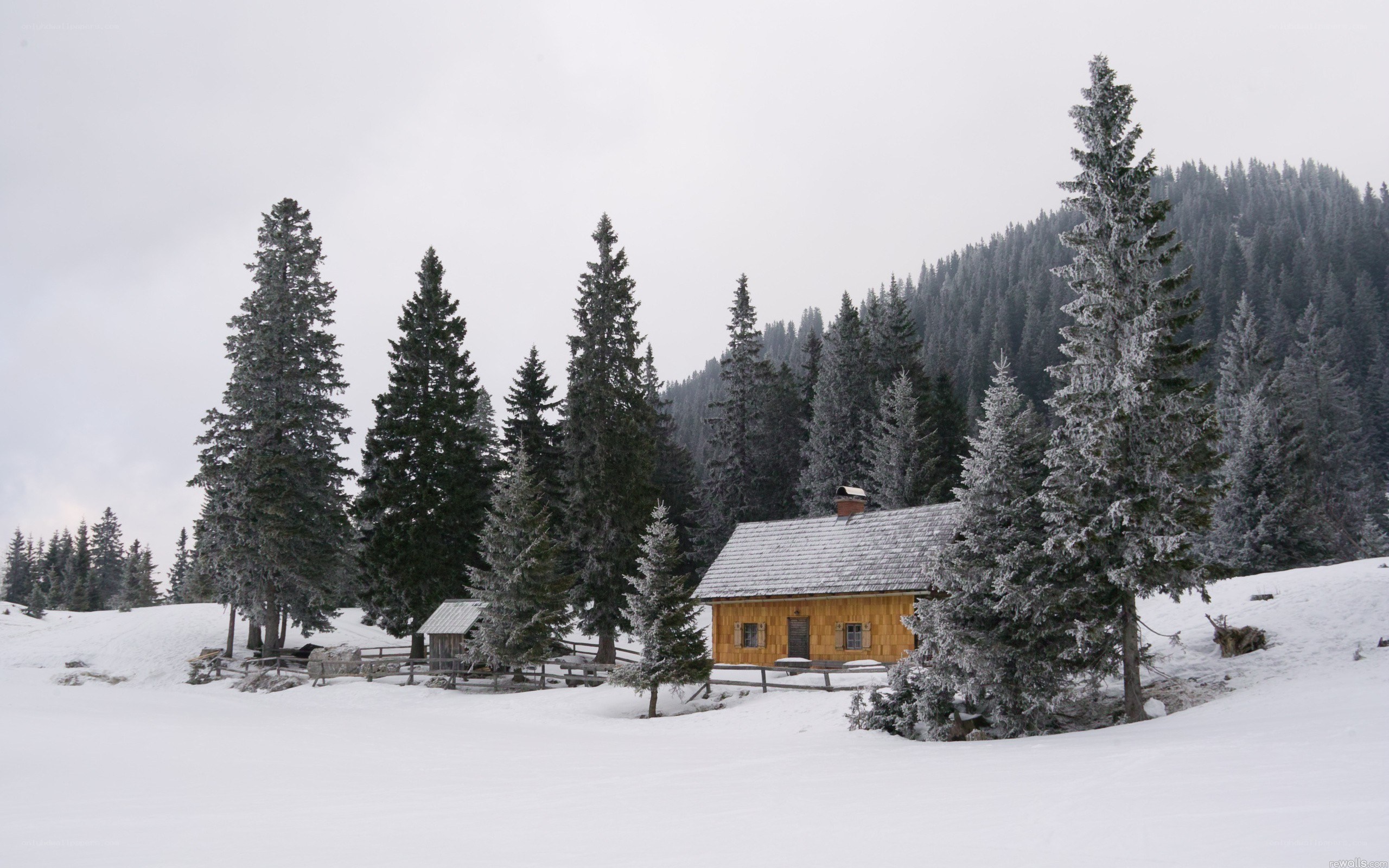 Snowy cabin in forest