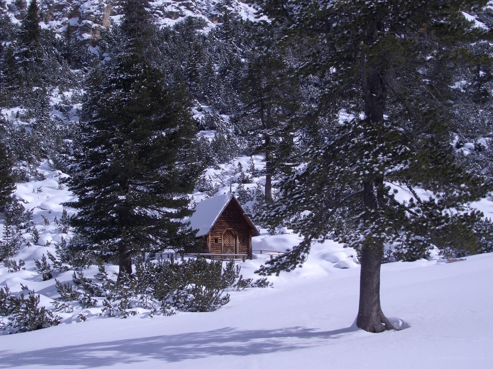 Snowy cabin in forest